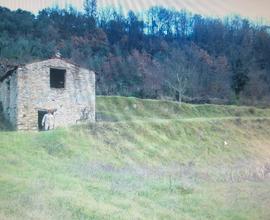 Vendo casa in pietra su due piani con terreno