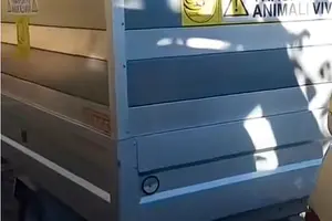 Rimorchio Trasporto Animali 750 kg - Patente B