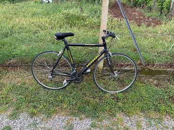 Bici saccarelli da corsa