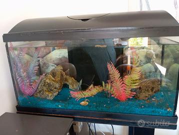 Acquario con mobiletto