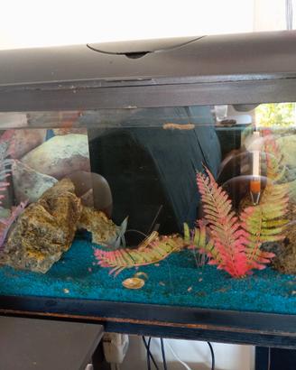 Acquario con mobiletto