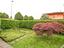 Immagine 17