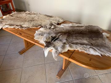 Pelli decorative di renna norvegese