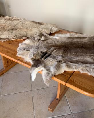 Pelli decorative di renna norvegese