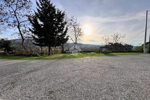 MULTILOCALE A CASTELLINA MARITTIMA