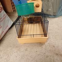 Gabbiette per uccellini