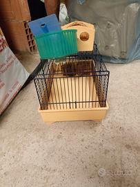 Gabbiette per uccellini