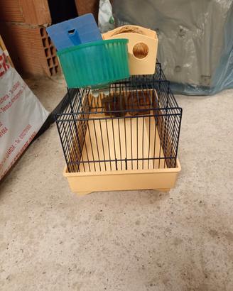 Gabbiette per uccellini