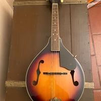 mandolini elettrico e acustico