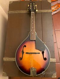 mandolini elettrico e acustico