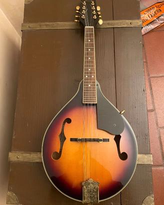 mandolino acustico