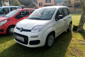 NOLEGGIO FIAT PANDA 1.0 FIREFLY SS HYBRID PANDINA