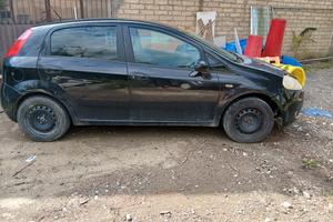 fiat  punto 
