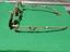 Immagine 5