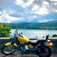 Suzuki Ls 650 Savage '95