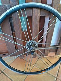 cerchio posteriore campagnolo eurus