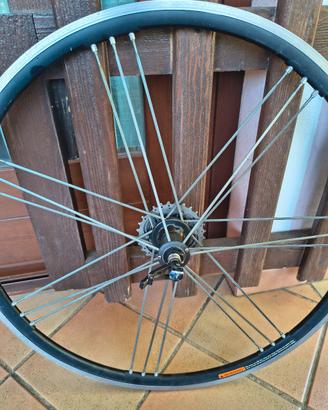 cerchio posteriore campagnolo eurus