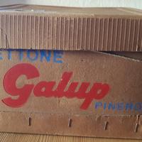Scatola d’epoca per panettone Galup Pinerolo