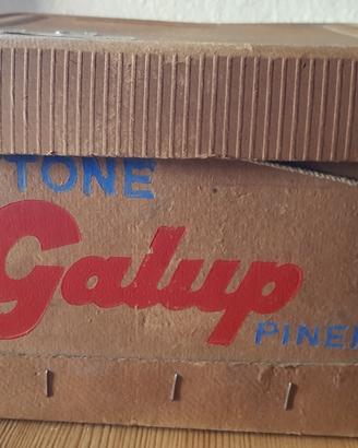 Scatola d’epoca per panettone Galup Pinerolo
