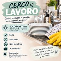 Disponibile solo la mattina (pranzo)