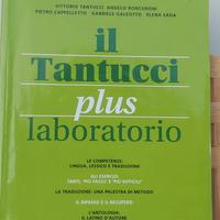 Il Tantucci plus. laboratorio 2