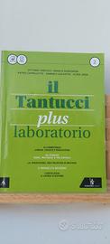 Il Tantucci plus. laboratorio 2