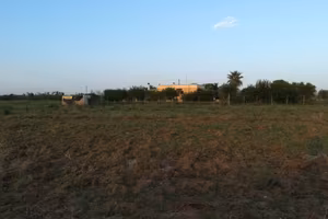 Terreni agricoli