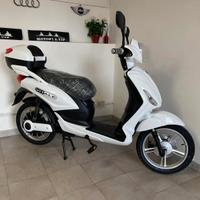 velocipede elettrico 