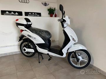 velocipede elettrico 