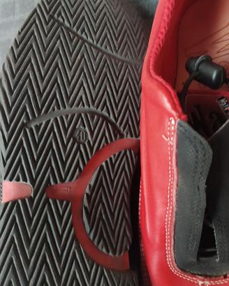 Scarpe sportive