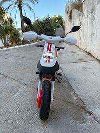 FELO FW03 SIMONCELLI