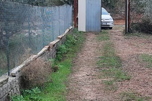 Terreno agricolo pianeggiante Lanuvio (RM)