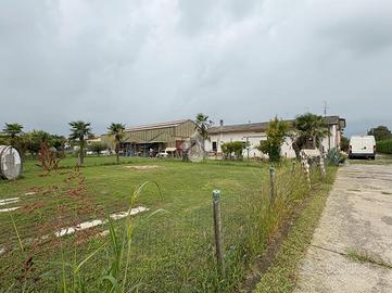 CASA INDIPENDENTE A VIGODARZERE