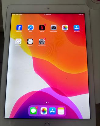 iPad mini 2
