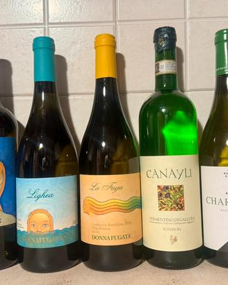 Vino bianco set 7 bottiglie