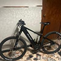 MTB elettrica 29 casadei