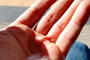 Un monolocale oppure posto letto per me