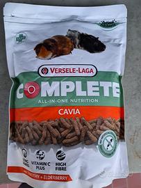 Magime per porcellino d'india