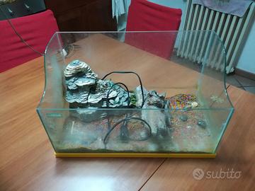 vasca per tartarughe