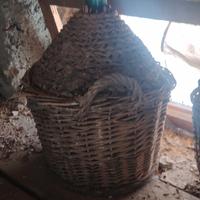 due vecchie damigiane