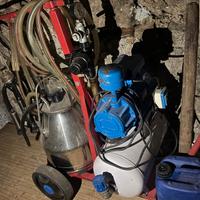 mungitrice bovini ad un gruppo 