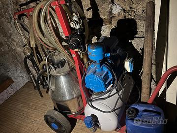 mungitrice bovini ad un gruppo 