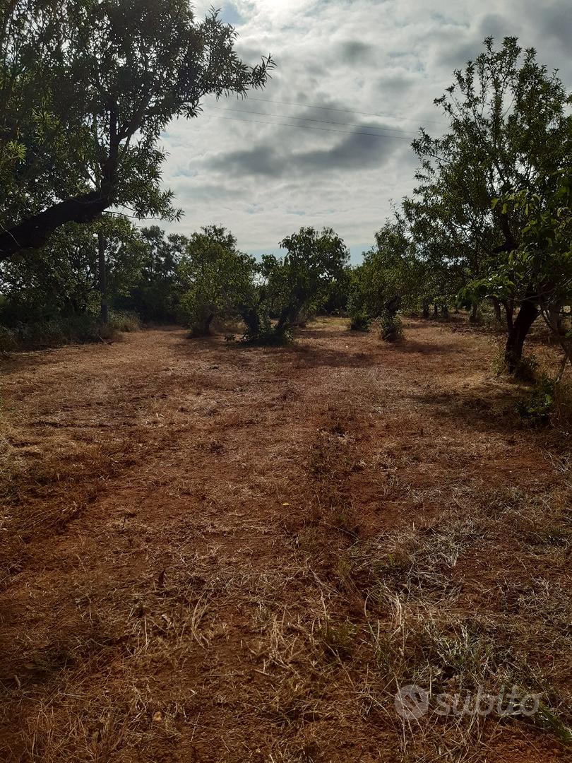 Terreno di 1600mq a 2 km dal paese - Vista 4