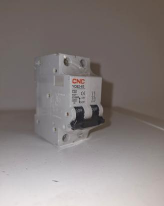 Interruttore magnetotermico CNC YCB2-63 C32 2P 33A