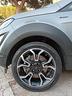 ford-ecosport-bicolor-pelle-neopatentati-2021