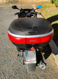 Yamaha Majesty 250 - 2003