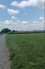 TERRENO INDUSTRIALE (CE) 2.400mq