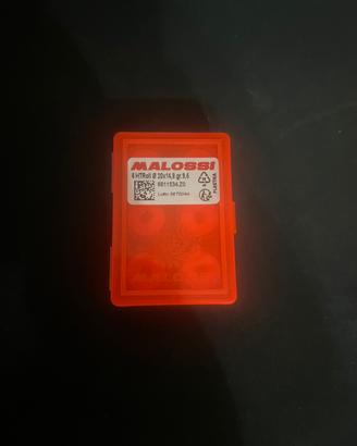 6 HTRoll 20x14,8 9,5gr Malossi