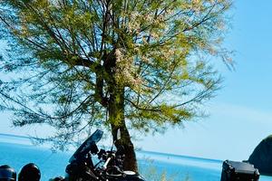 BMW F 850 GS Triple Black 2023 - 10.871 Km