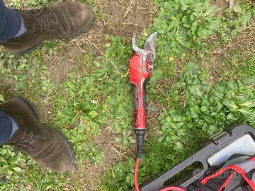 Forbici  da pota elettriche